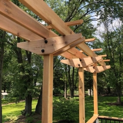 41095698_1908153375916032_6722237156749737984_n