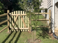 CED0EE97-60EF-43EE-8D19-4DAFFB688090_1_105_c