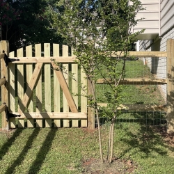 CED0EE97-60EF-43EE-8D19-4DAFFB688090_1_105_c