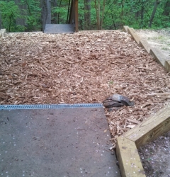 49870D6D-3956-43DA-AD89-A81880CF2D00_1_105_c